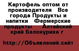 Картофель оптом от производителя - Все города Продукты и напитки » Фермерские продукты   . Алтайский край,Белокуриха г.